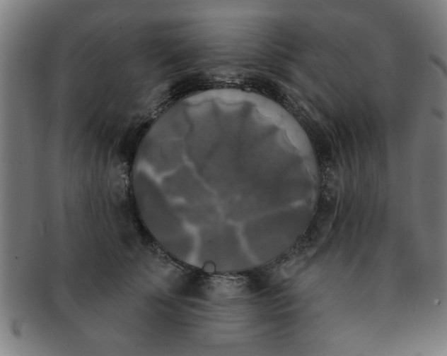 X0000091350707200708241247
