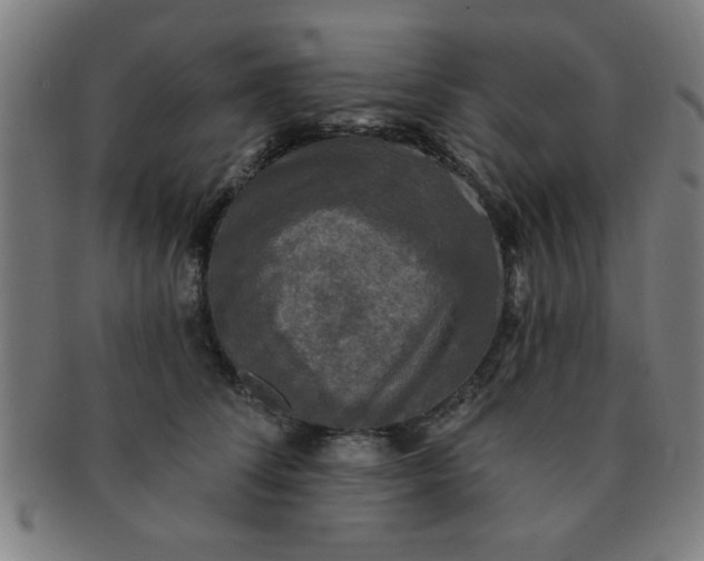X0000091350708200708241247