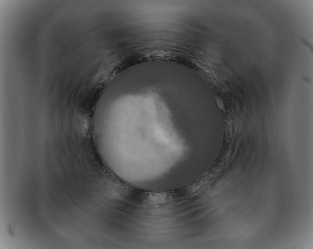 X0000091350709200708241247