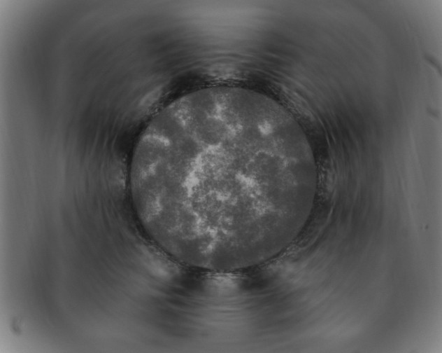 X0000091350710200708241247
