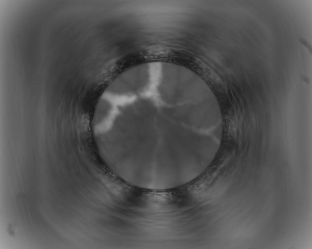 X0000091350711200708241247