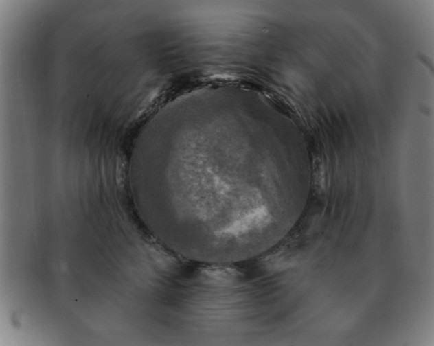 X0000091350712200708241247