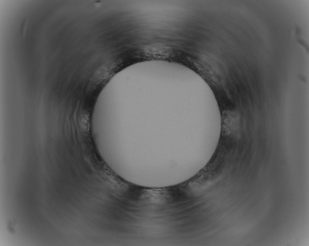 X0000091350713200708241247
