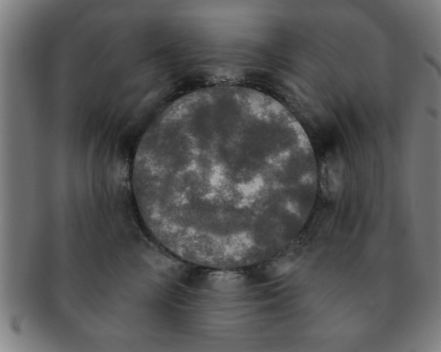 X0000091350714200708241247