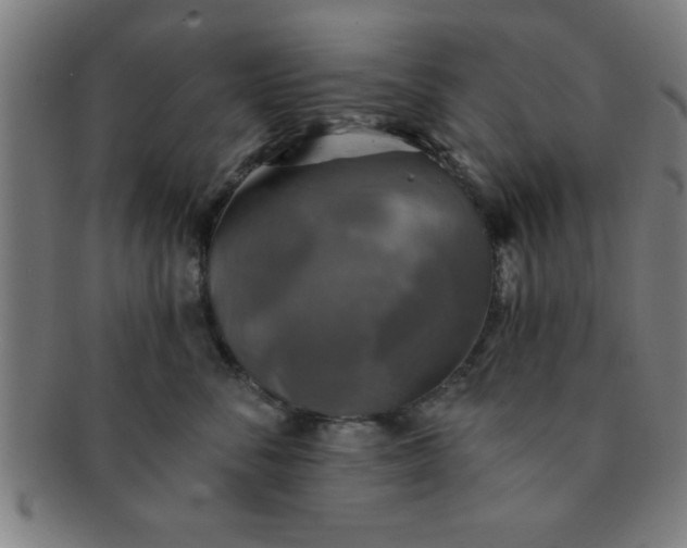 X0000091350716200708241247