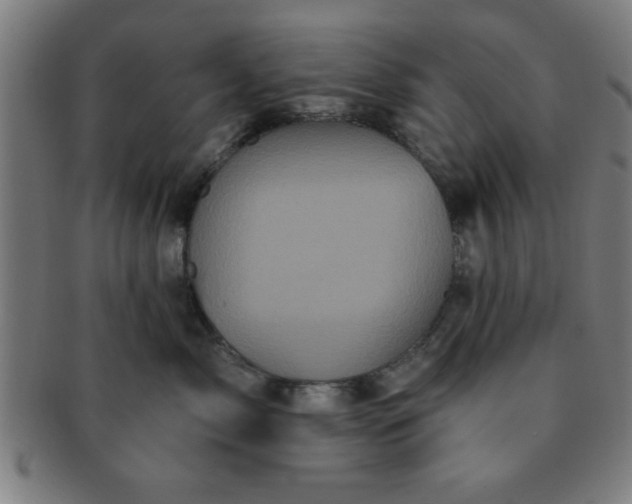 X0000091350717200708241247