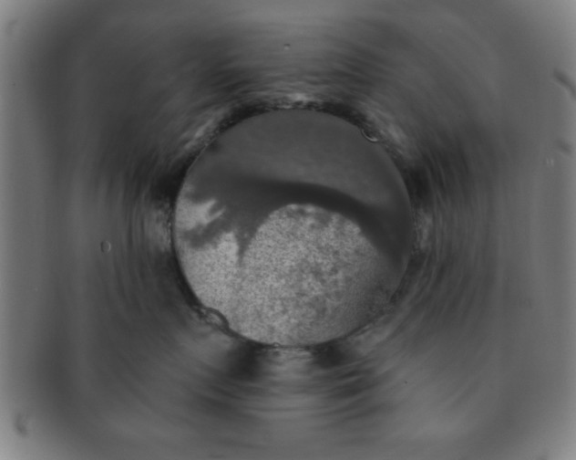 X0000091350719200708241247