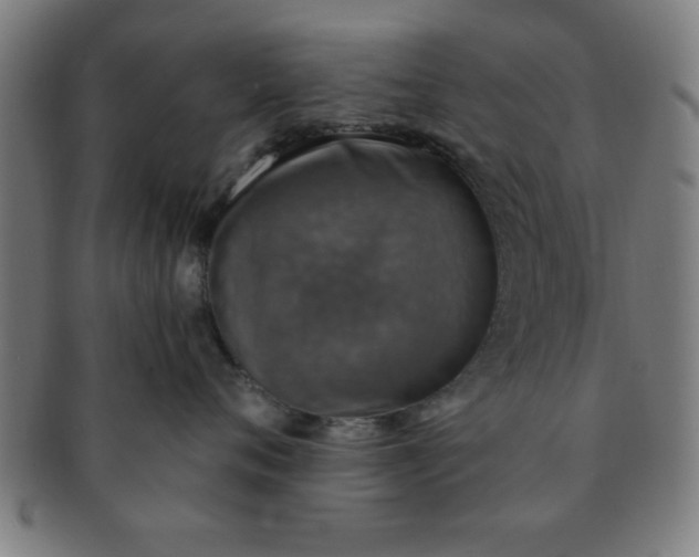 X0000091350720200708241247