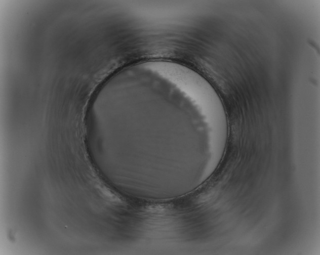X0000091350721200708241246