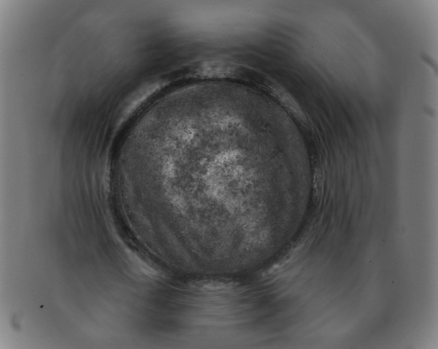 X0000091350722200708241246