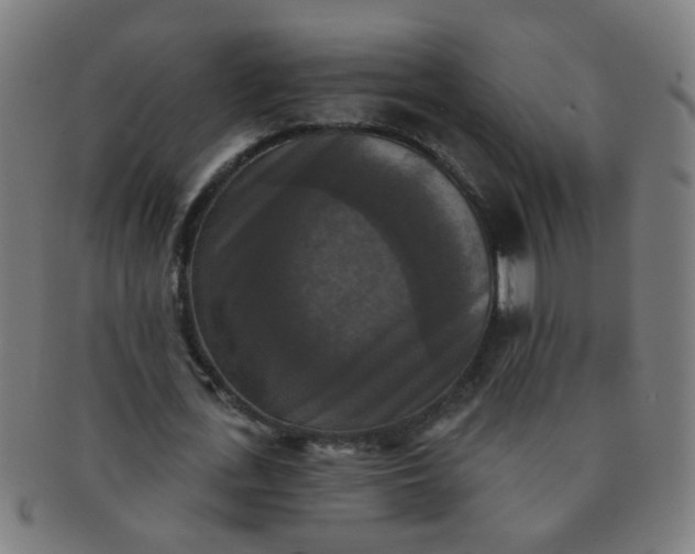 X0000091350723200708241246