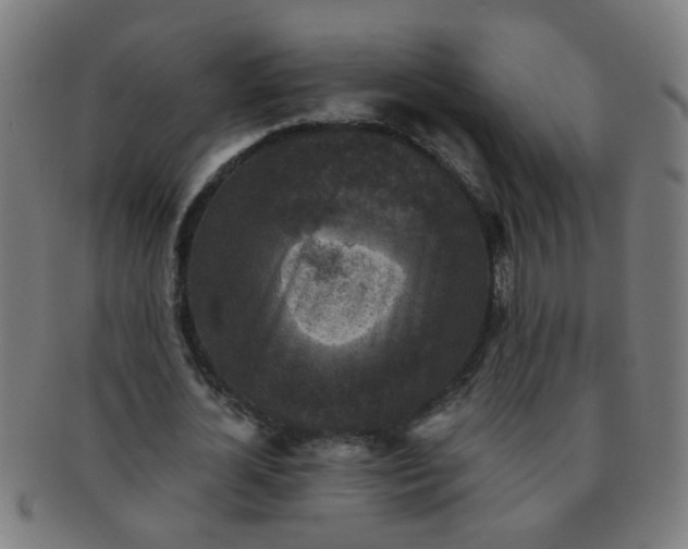 X0000091350724200708241246