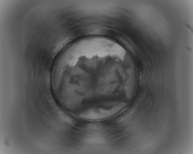 X0000091350725200708241246