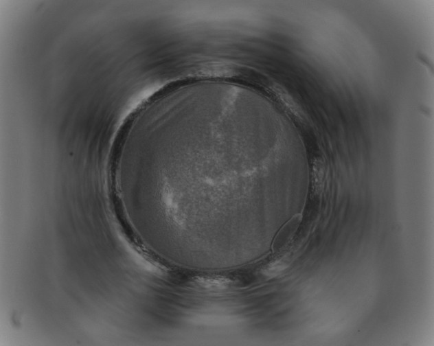 X0000091350726200708241246