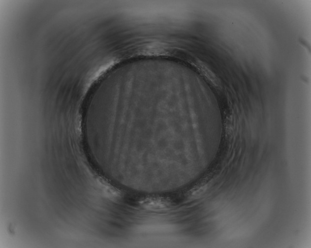 X0000091350727200708241246