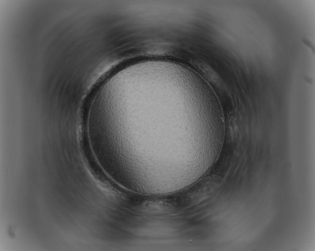 X0000091350728200708241246