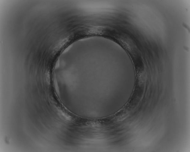 X0000091350729200708241246