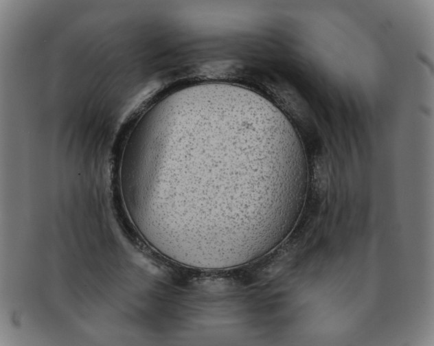 X0000091350730200708241246