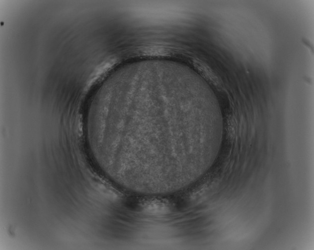 X0000091350731200708241246