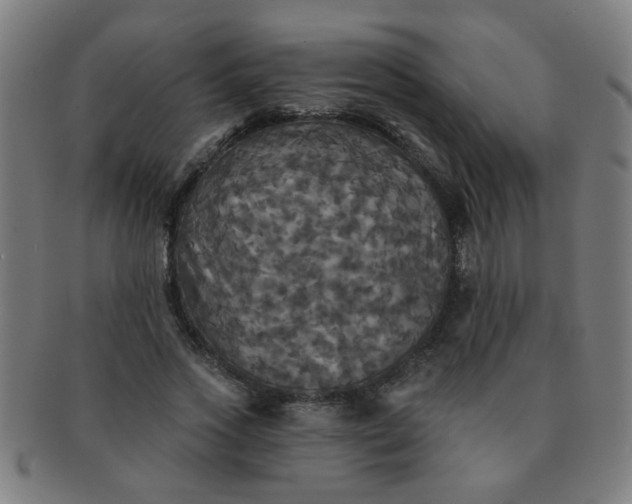 X0000091350733200708241246