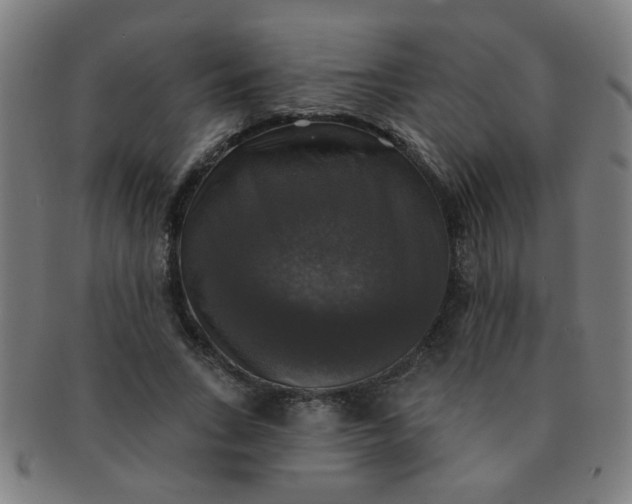 X0000091350735200708241246