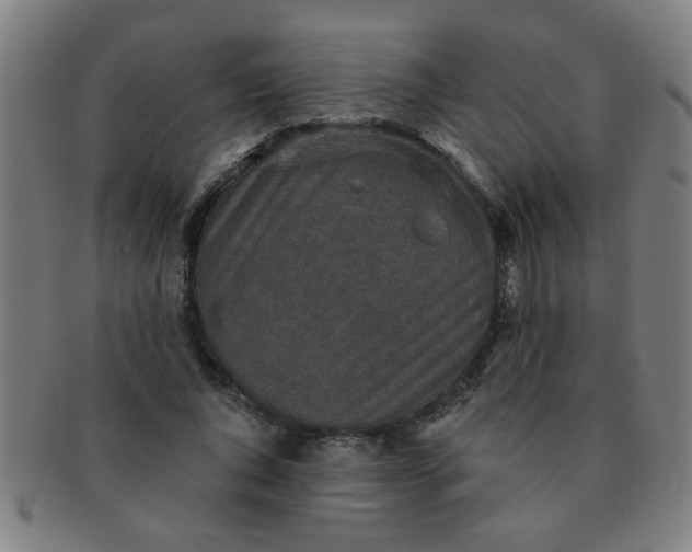 X0000091350736200708241246