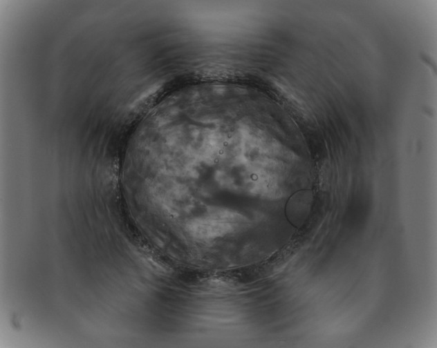 X0000091350737200708241246
