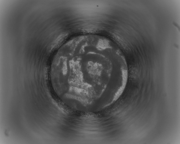 X0000091350738200708241246