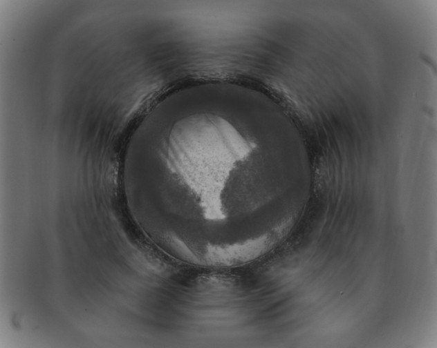 X0000091350739200708241246