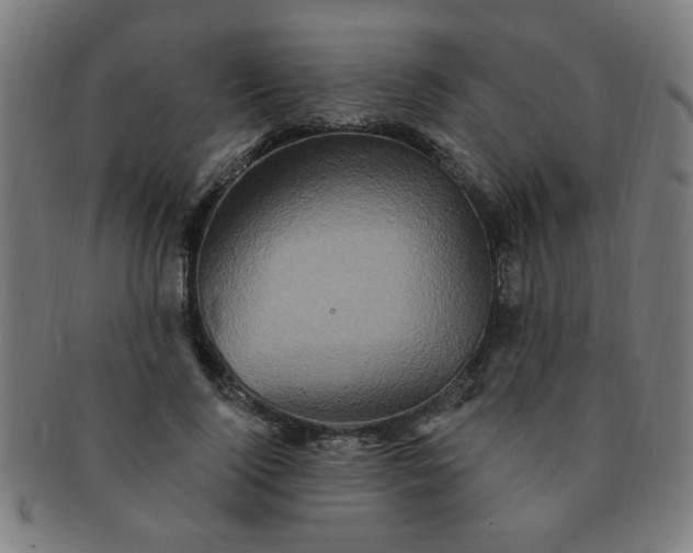 X0000091350740200708241246