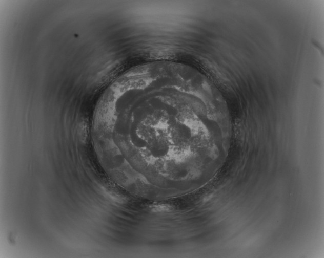 X0000091350741200708241246