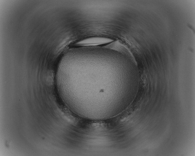 X0000091350744200708241246