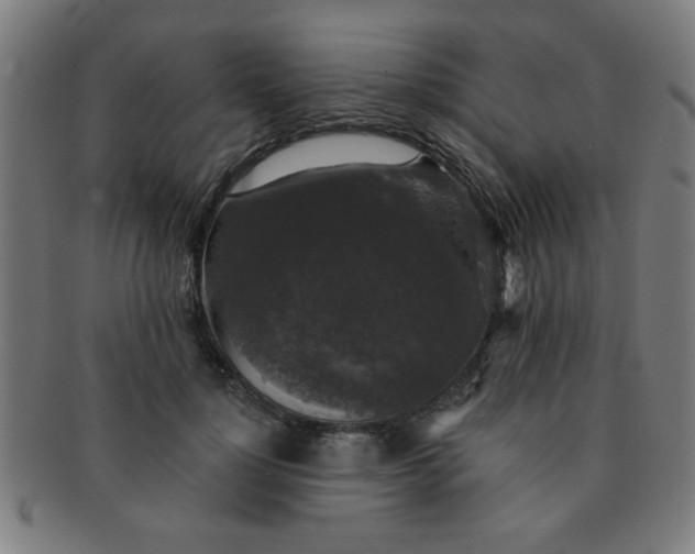 X0000091350748200708241246