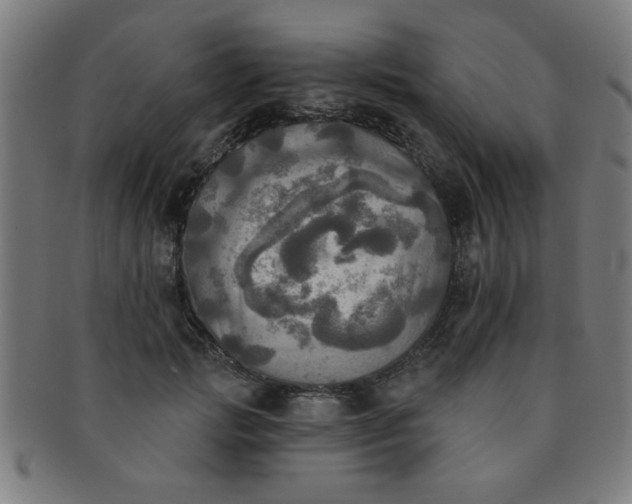 X0000091350749200708241246