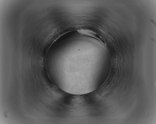 X0000091350750200708241246