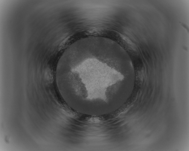 X0000091350751200708241246