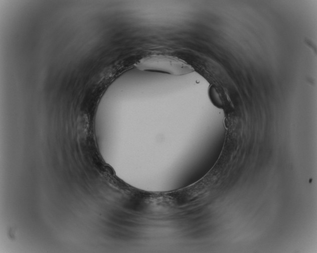 X0000091350752200708241246