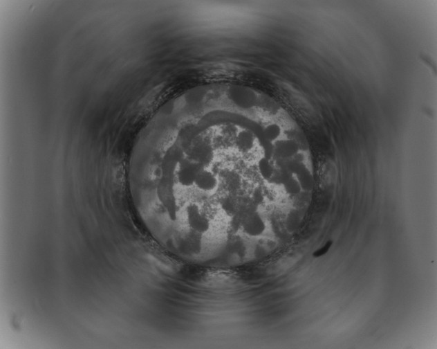 X0000091350753200708241246