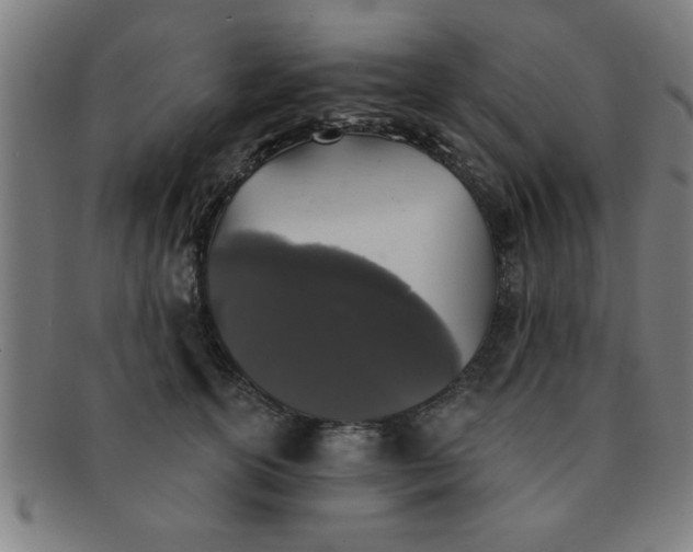 X0000091350754200708241246