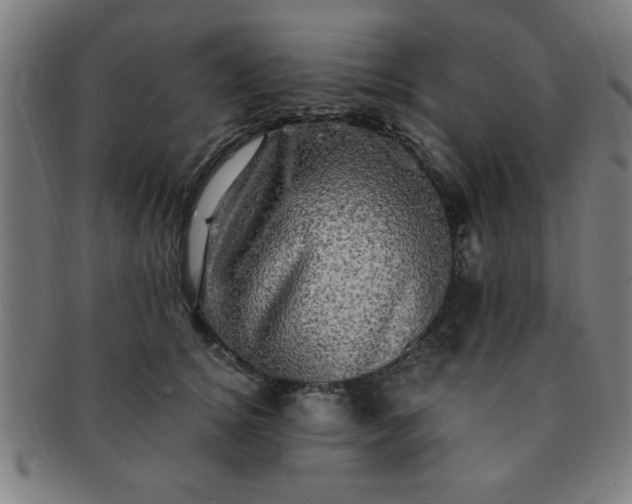 X0000091350756200708241246