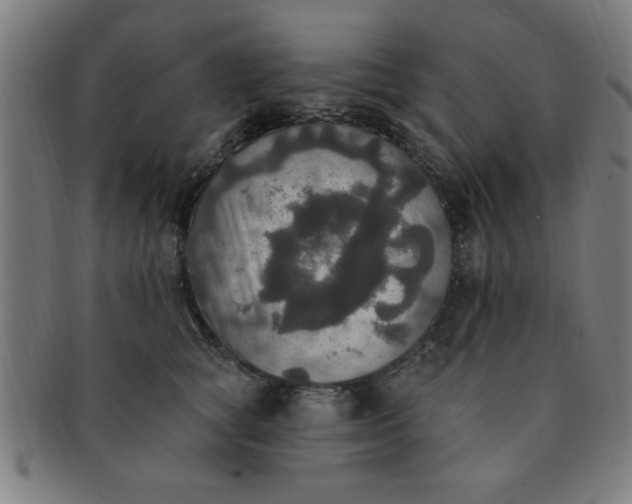 X0000091350757200708241246
