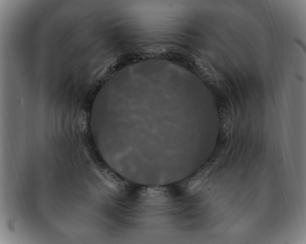 X0000091350758200708241247