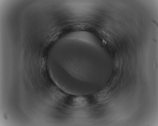 X0000091350759200708241247