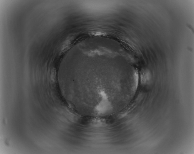 X0000091350760200708241247