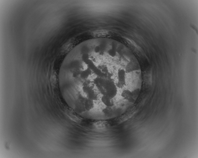 X0000091350761200708241247