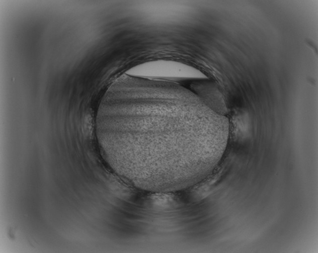 X0000091350762200708241247