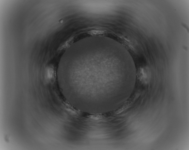 X0000091350763200708241247