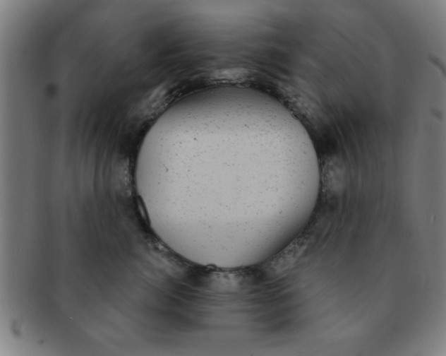 X0000091350764200708241247