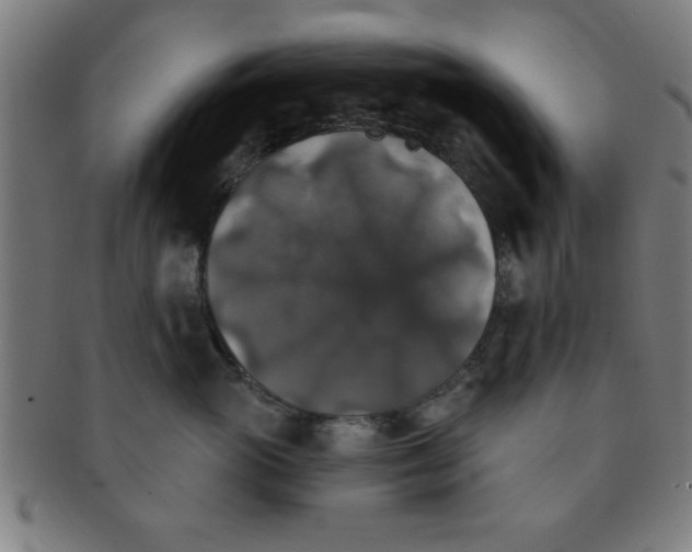 X0000091350765200708241247