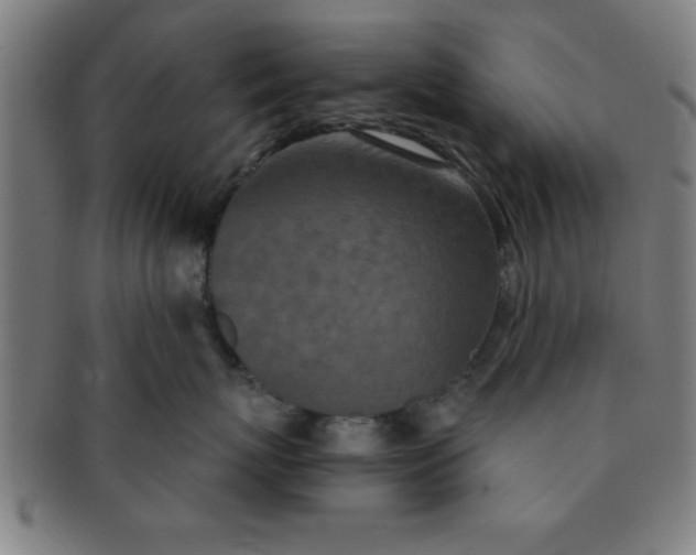 X0000091350767200708241247